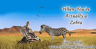 Zebras and Ducks