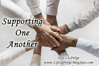 supporting one another life's a polyp