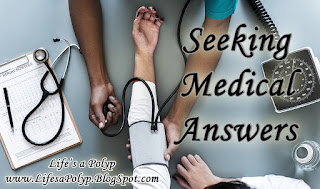 Seeking Answers