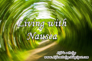 Life with Chronic Nausea