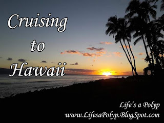 Cruising to Hawaii and Beyond