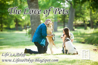 Pets and Chronic Illness
