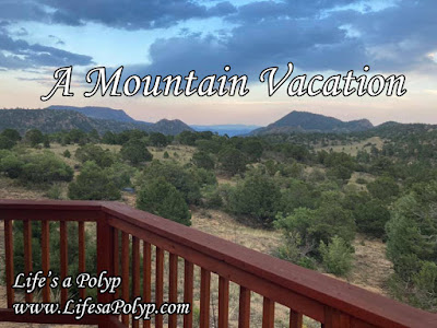 Vacationing Amidst a Global Pandemic with Chronic Illness