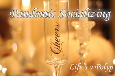 Socializing in a Pandemic