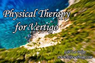 Vertigo and Physical Therapy