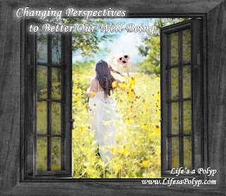 Changing Our Perspectives to Better Our Well-Being
