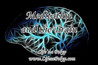 Meditation Effects on the Brain