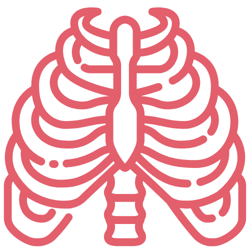 A graphic icon of a ribcage