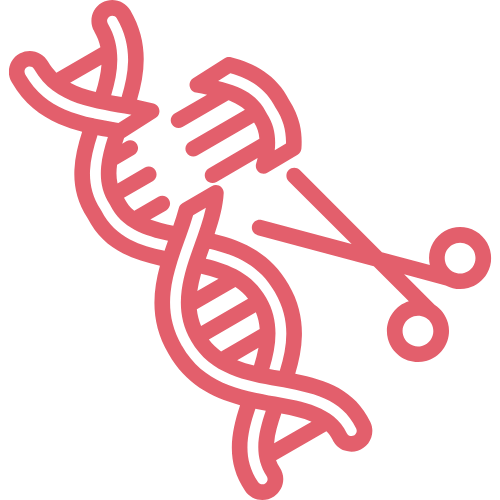 A graphic icon of a splicing mutation