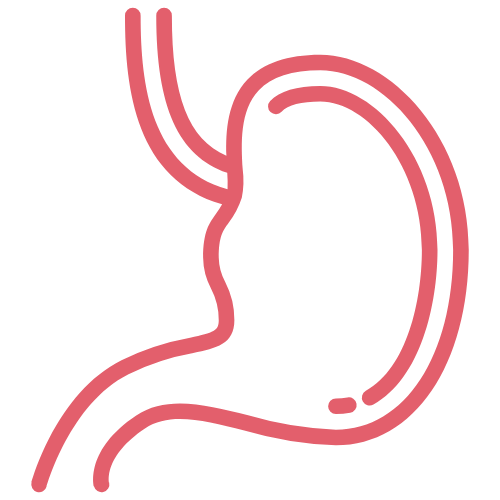 A graphic icon of the stomach
