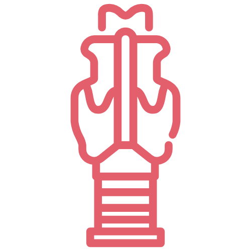 A graphic icon of a thyroid gland